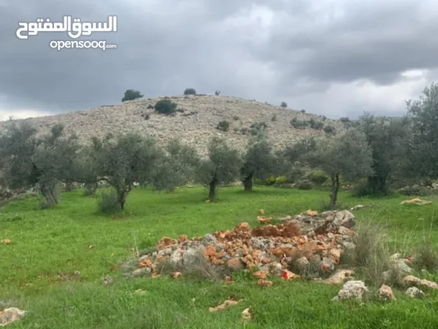 Residential Land for Sale in Ramallah and Al-Bireh Kafr Ni'ma