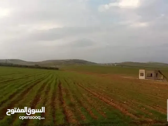 Farm Land for Sale in Madaba Al-Fayha'
