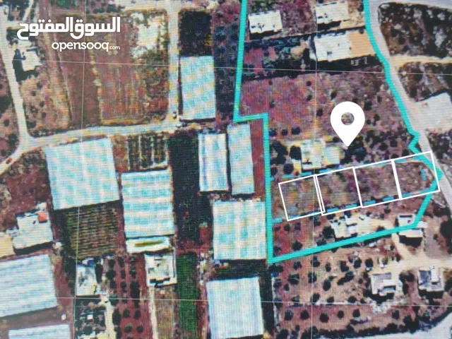 ارض مميزة في دير ابو ضعيف جنين