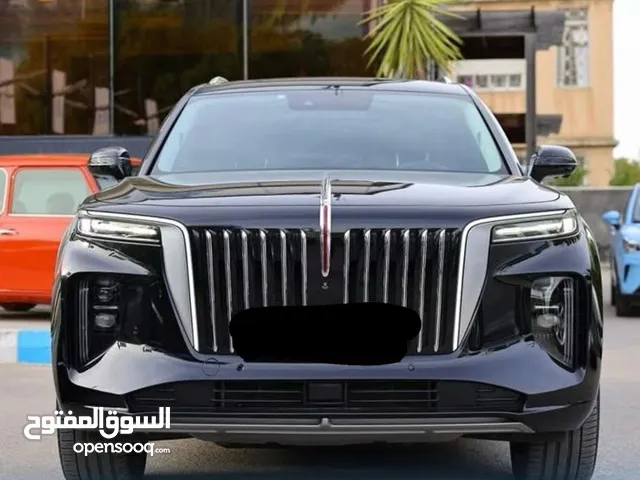 Used Hongqi E-HS9 in Amman