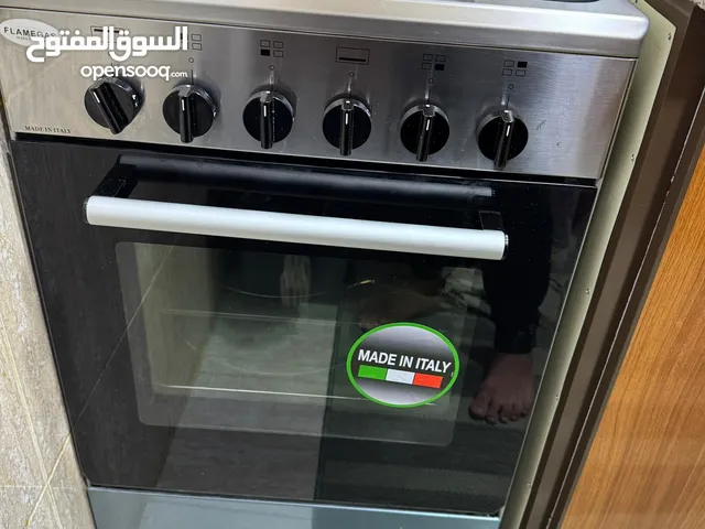 Gas stove with oven