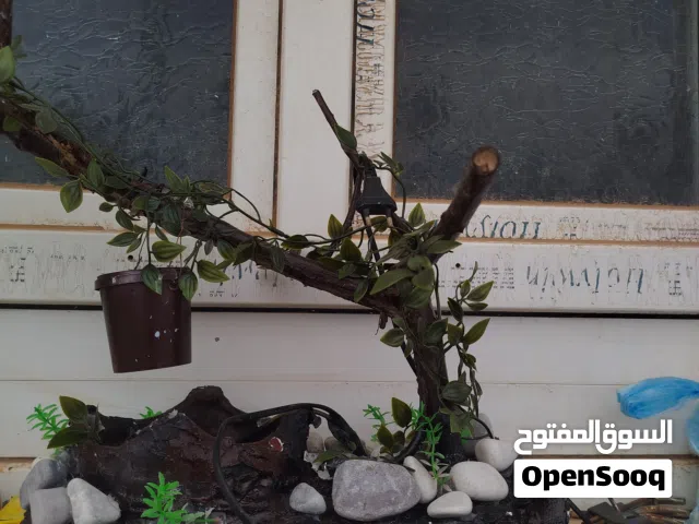نافورة داخلية