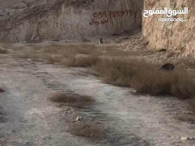 ارض للبيع دار صلاح
