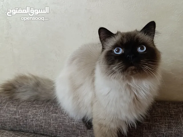 ذكر هملايا