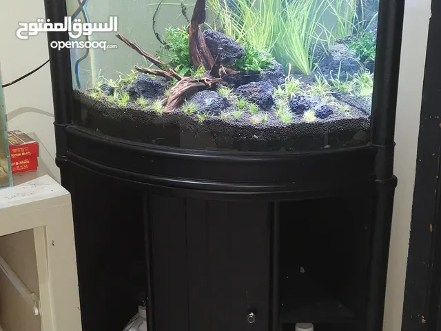حوض سمك زينه
