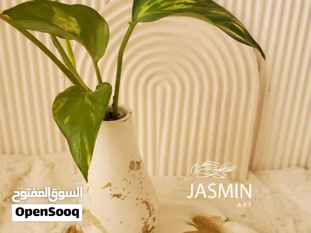 اصيص زراعي للنبات الطبيعي