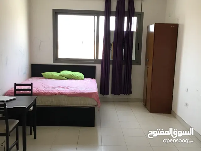 Shared apartment for rent