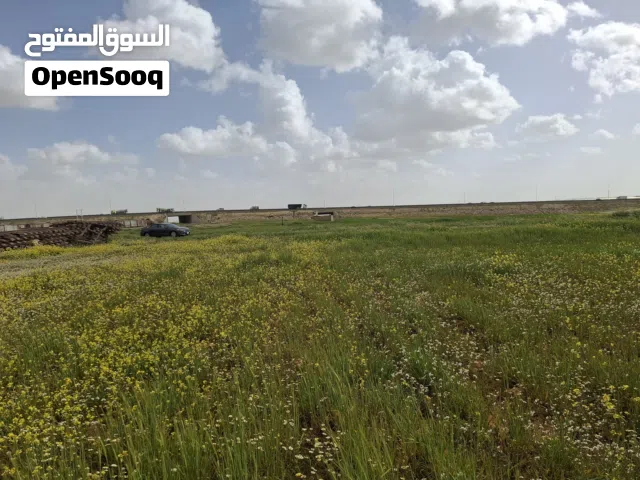 فرصة للاستثمار ارض 510م شارعين(اللبن_الطنيب) على بعد 100م عن شارع عمان التنموي