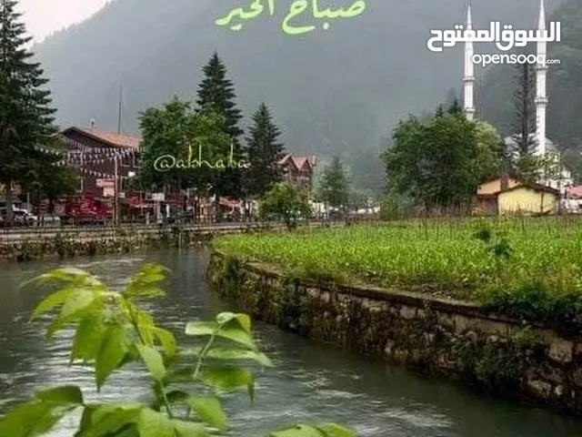 ارض تجاريه عالطريق ..