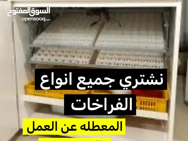 لتصليح جميع انواع الفقاسات إذا حاب أتبيع فقاستك نشتري منك المستعمله والمتعطلهً
