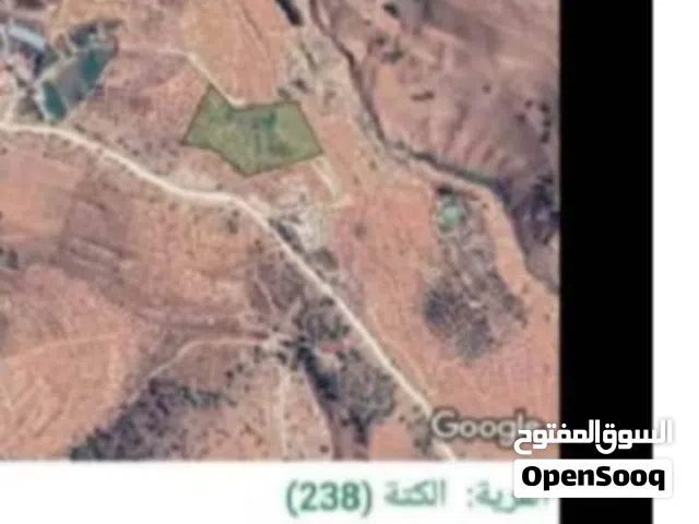 Farm Land for Sale in Jerash Al-Kittah