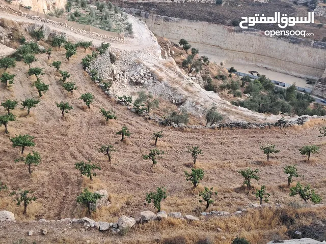 أرض في بيت كاحل مطلة على واد القف شارع هيكلي لها من واد القف عرض 8 متر وشارع عرض 6م من بيت كاحل