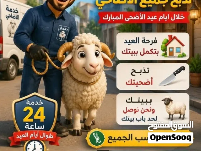 يوجد خروف روماني و بلدي