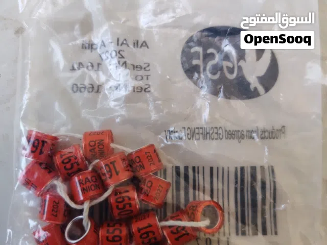 حجول زواجل 2027