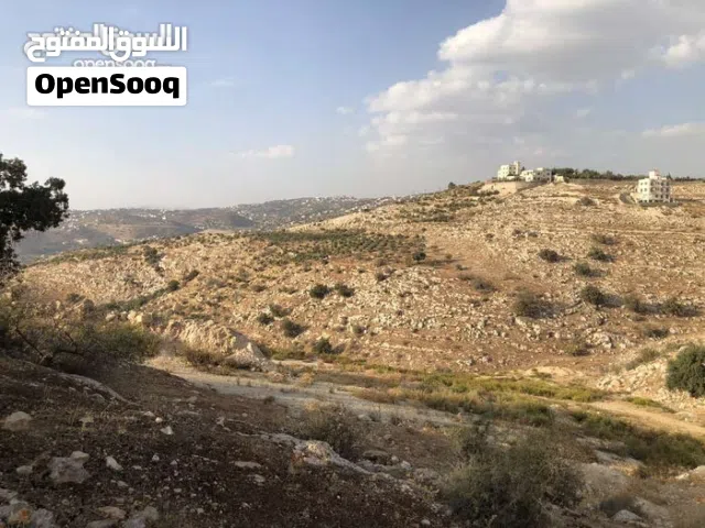 Residential Land for Sale in Amman Abu Al-Sous