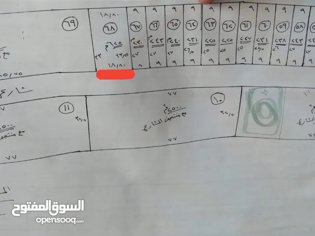Farm Land for Sale in Basra Tannumah