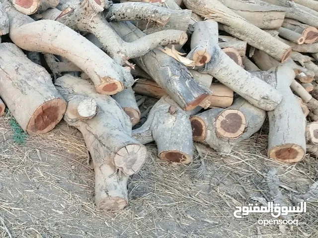 للبيع حطب سمر مرتب يابس