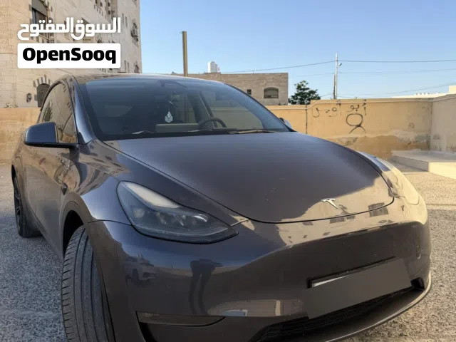 2023 تيسلا موديل Y Long Range