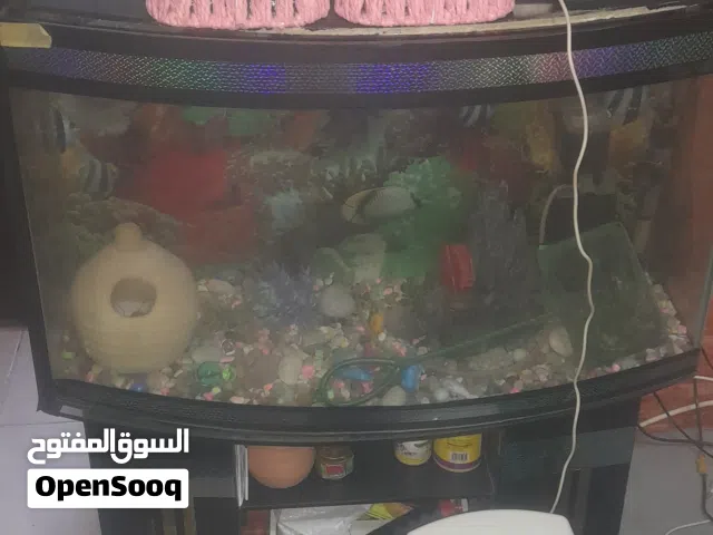 حوظ سمك 40 سم ومعو قاعده ومعو كامل أغراض فلتر وزينه وقاعده كلو شغال ميه بالميه
