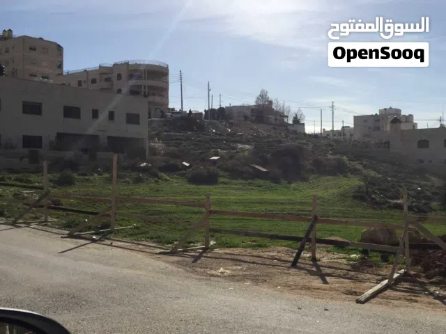 Residential Land for Sale in Amman Dahiet Al Ameer Ali