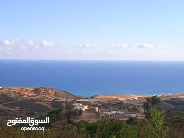 أرض على البحر
