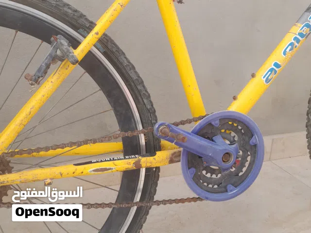 دراجة هوائية هيكل جمجمة للبيع