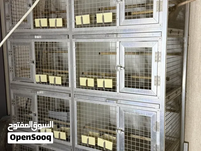 اقفاص للبيع قابل للتفاوض