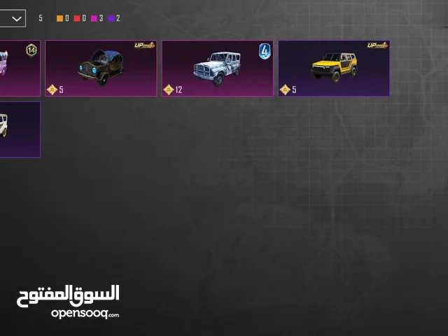 Pubg Accounts and Characters for Sale in Jenin