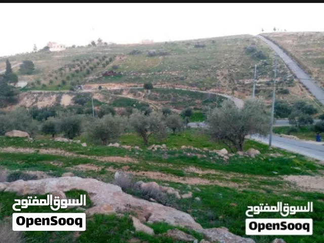 Residential Land for Sale in Zarqa Rajm Al Shawk
