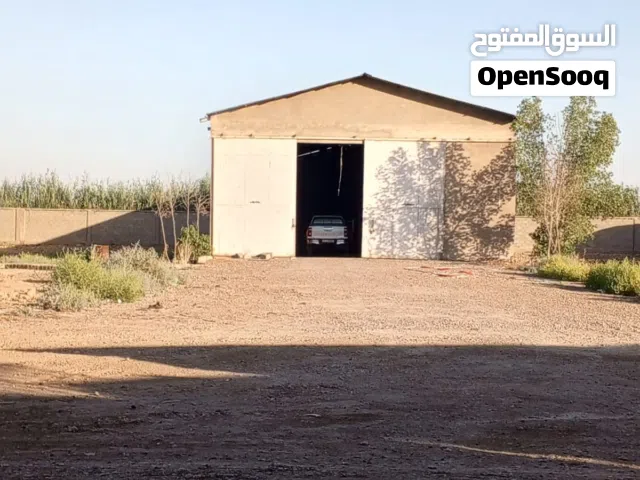 ارض مشيد عليها قاعات دواجن