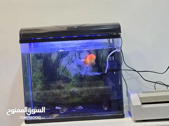 حوض سمك للبيع
