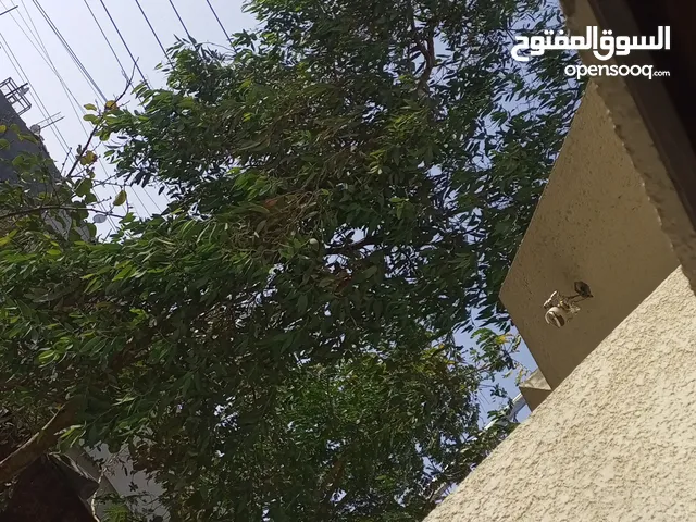 180 m2 3 Bedrooms Villa for Sale in Basra Abu Al-Khaseeb