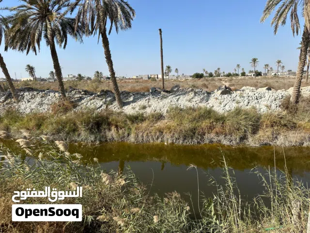 بستان دونم ونصف (3750 متر مربع)