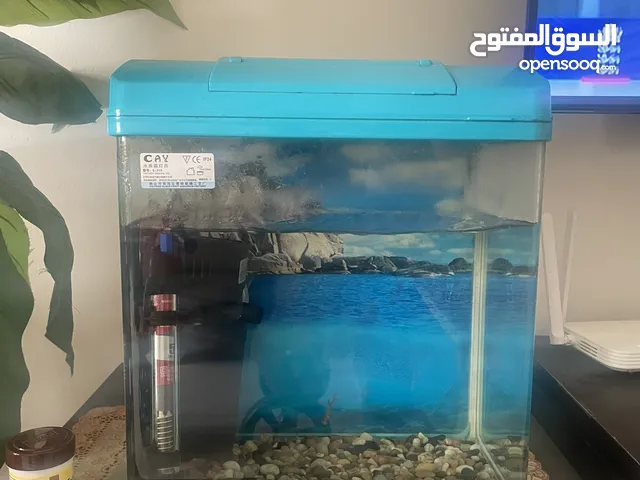 Aquarium Rarely used for urgent sale