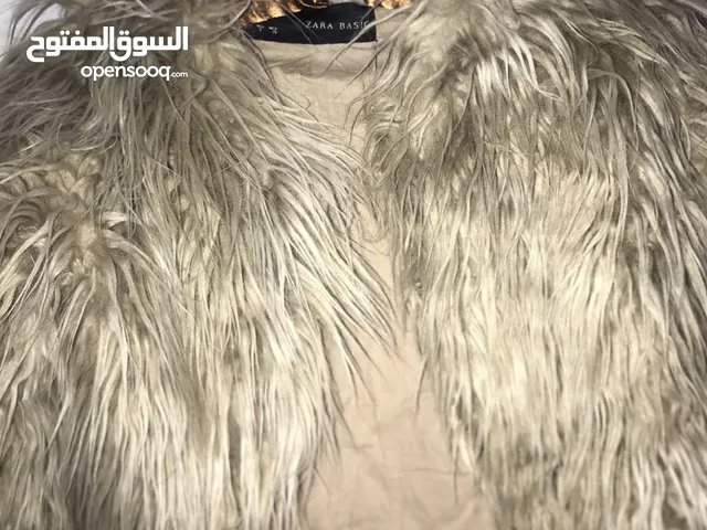 Jackets Jackets - Coats in Amman