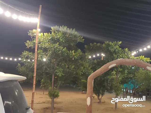 5 Bedrooms Chalet for Rent in Sharjah Al Zubair