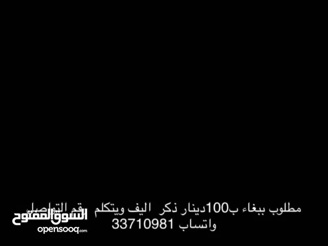 مطلوب ببغاء ب 100 دينار ذكر اليف ويتكلم رقم التواصل واتساب