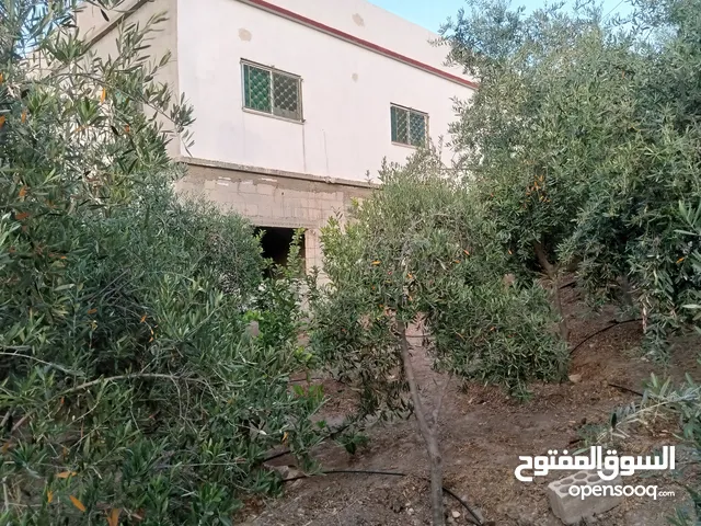 356 m2 5 Bedrooms Townhouse for Sale in Zarqa Al Hashemieh