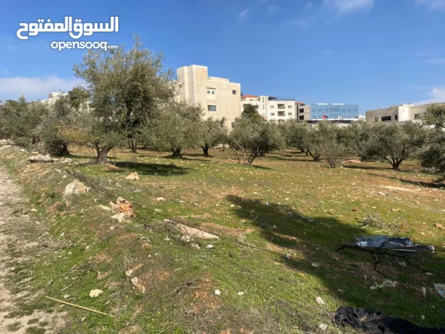 ارض للبيع مرج الحمام الشرقي