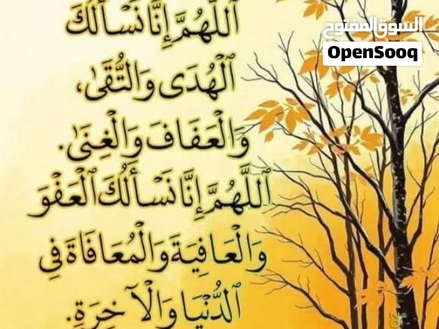 معلمة لغة إنجليزية منطقة الاشرفية خبرة 10 سنين مناهج خاصة