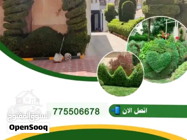 قص وتقليم وتشكيل الاشجار