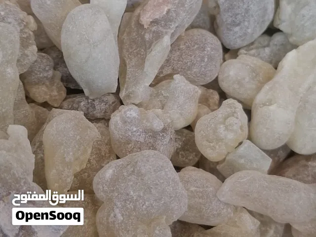 جوده اللبان الحوجري الدكر للعلاج والاكل والشرب رقم واحد