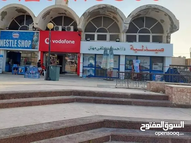 Furnished Daily in Alexandria Borg al-Arab