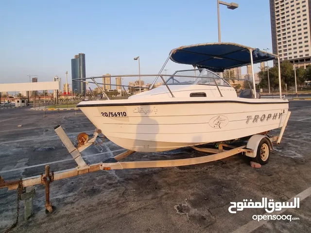 قارب أمريكي بايلاينر تروفي موديل 1995 للبيع