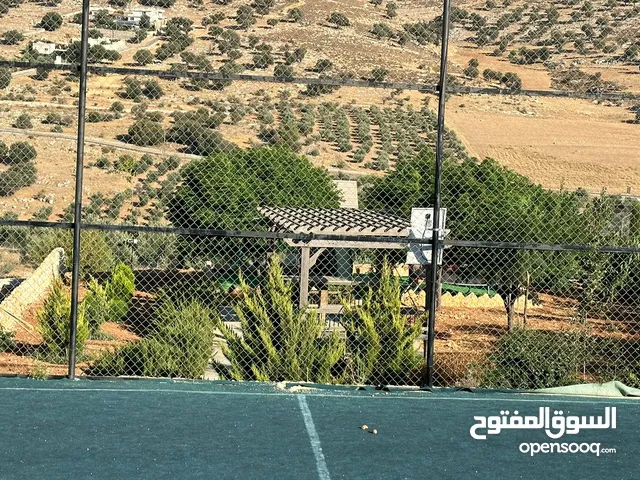 1 Bedroom Farms for Sale in Zarqa Sarout