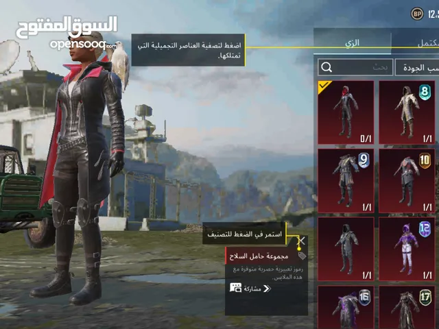 Pubg Accounts and Characters for Sale in Irbid