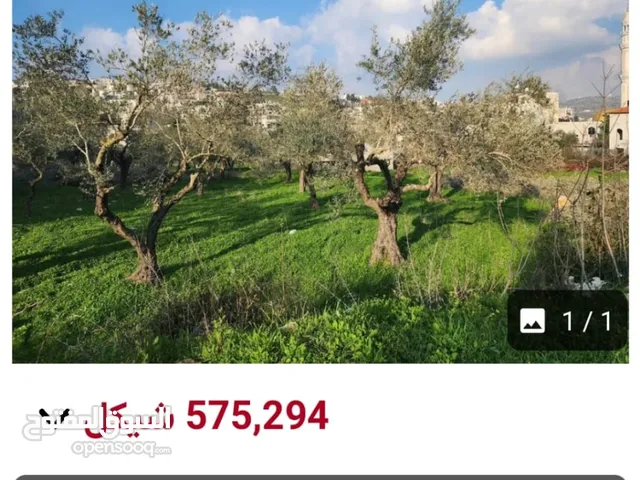 Residential Land for Sale in Ramallah and Al-Bireh Jifna