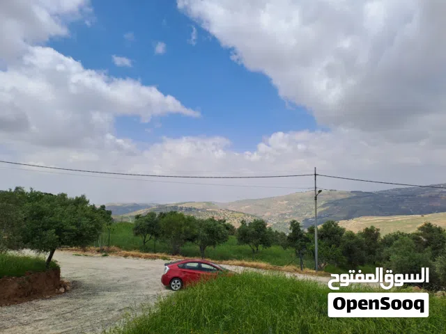 Residential Land for Sale in Amman Mahes