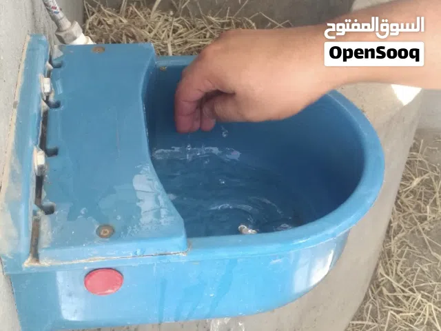 المشارب المواشي والخيل الاتوماتيكية صنع تركيا تحتوي على عوامه في الداخل