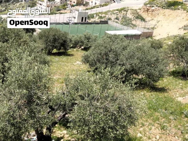 Mixed Use Land for Sale in Jerash Marsa'